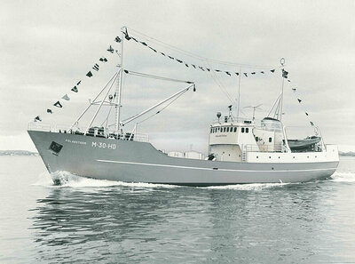 Yno 41 Polarstrom